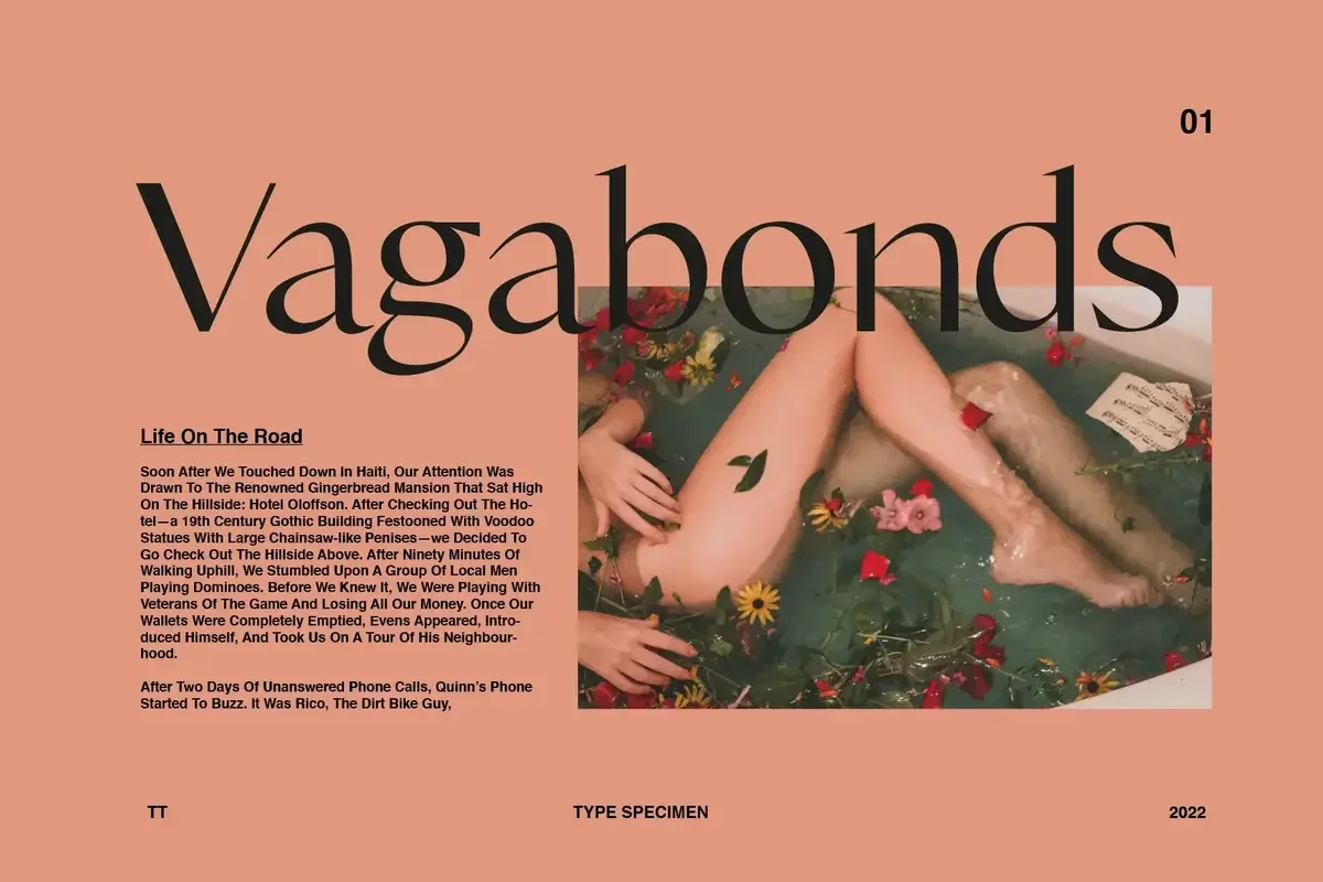 Vagabonds magazine cover with bold typography, a floral bathtub scene, and a type specimen in the bottom corner.