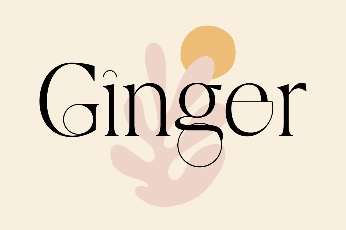 Elegant serif font spelling "Ginger" with stylized, thin and thick letterforms, placed over abstract pink and yellow shapes on a light beige background.