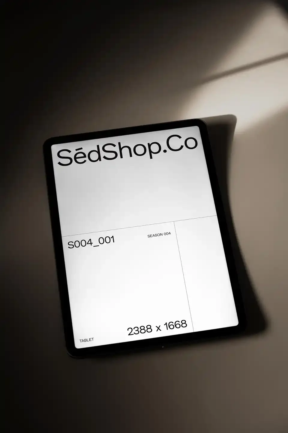 iPad Pro Mockup S004-001 preview