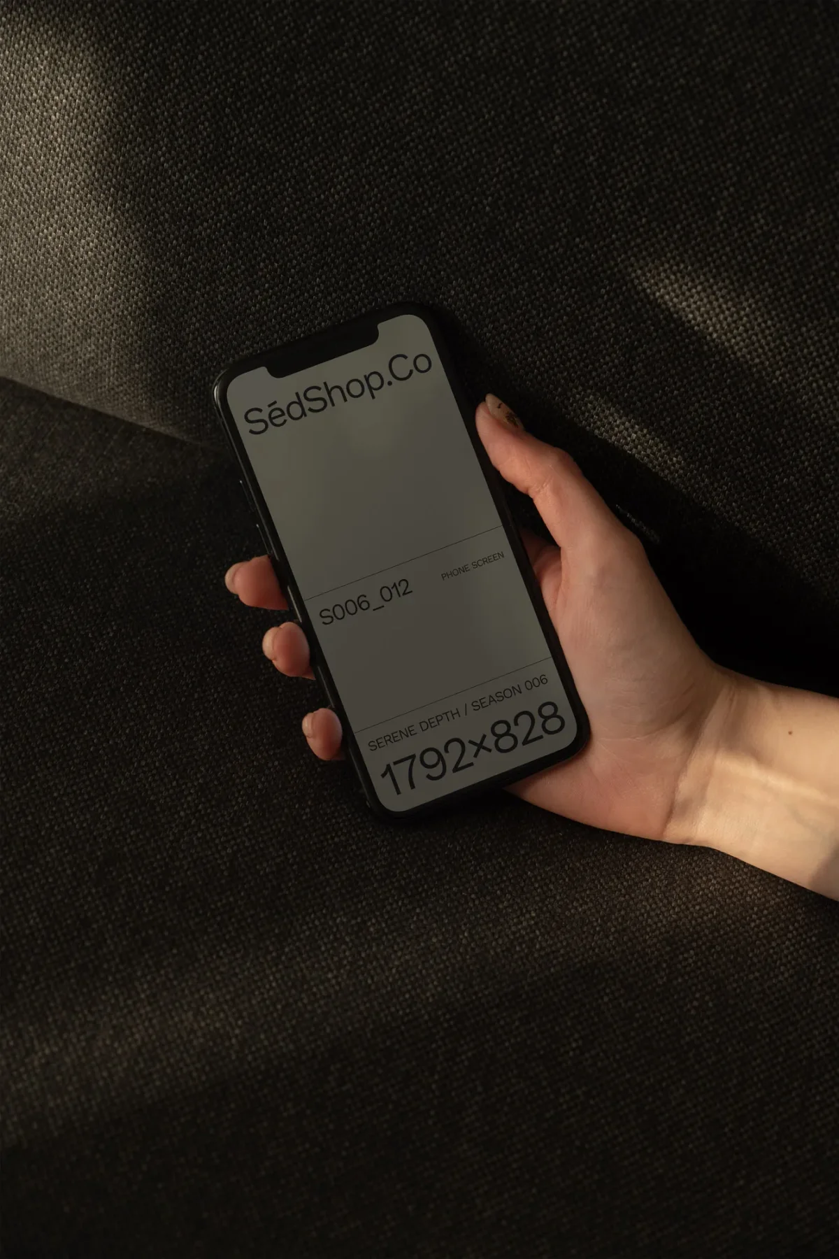 iPhone Mockup S006-012 preview