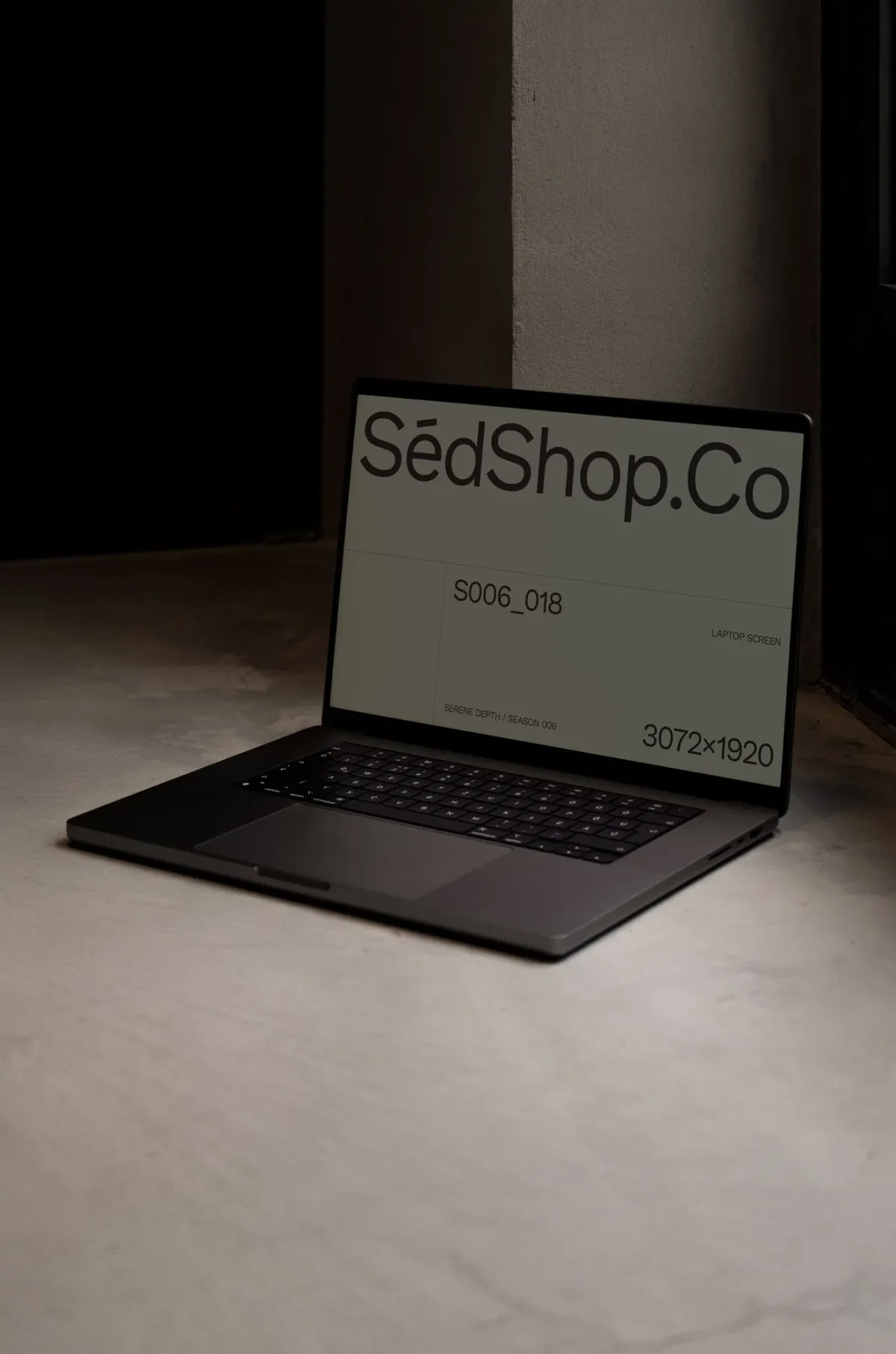 Macbook Pro Mockup S006-018 preview