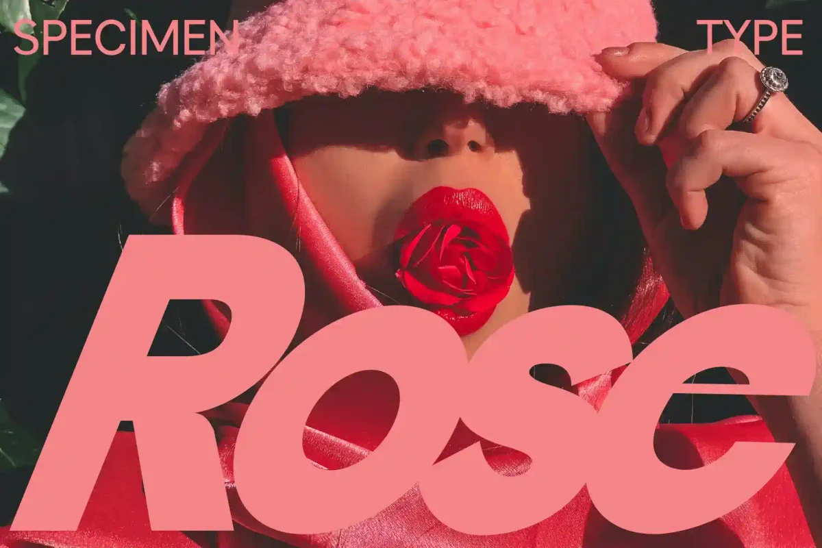 Bold pink font reading "Rose" in the foreground with a woman wearing pink fabric and holding a rose in her mouth.