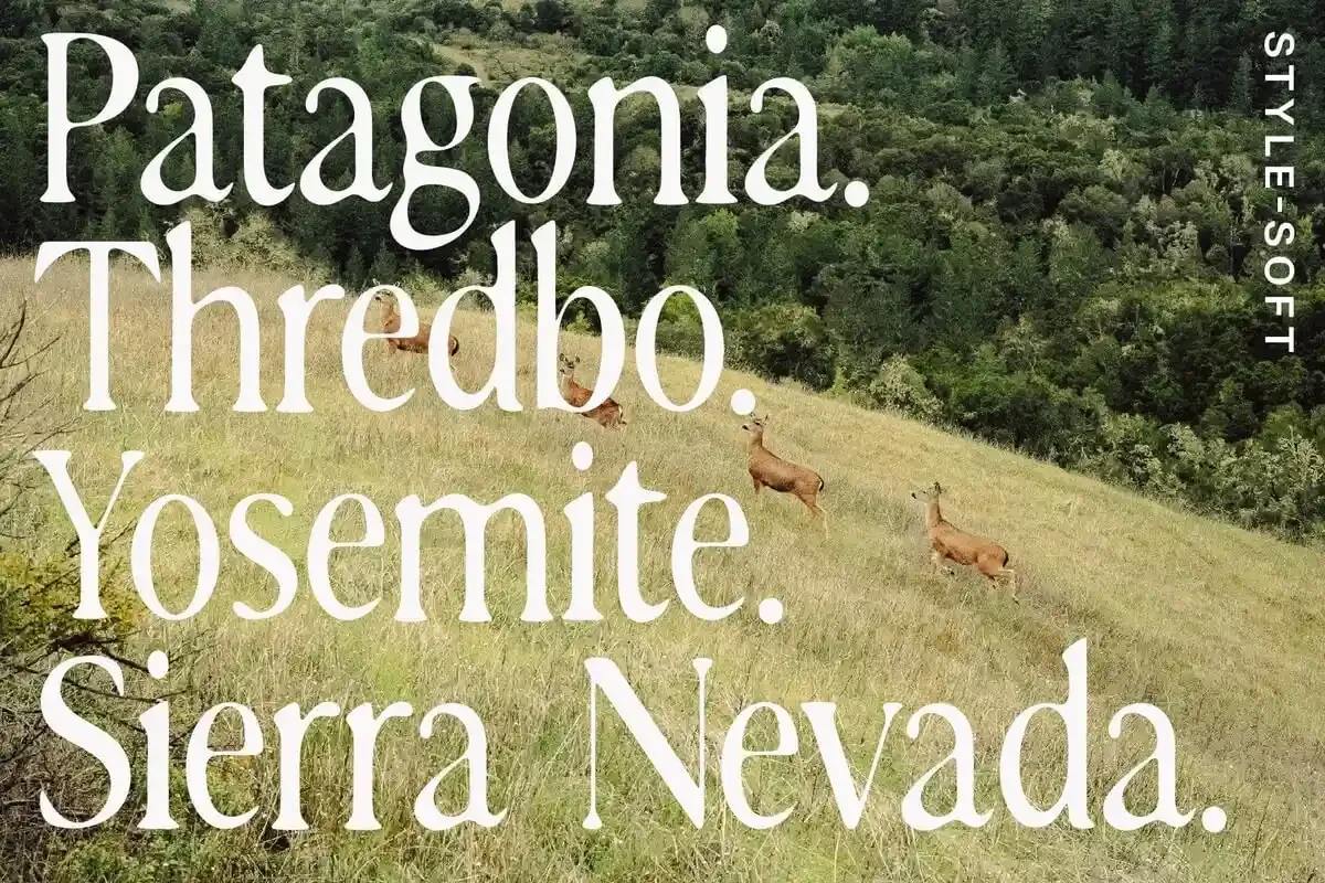 Stylebender Serif screenshot 3