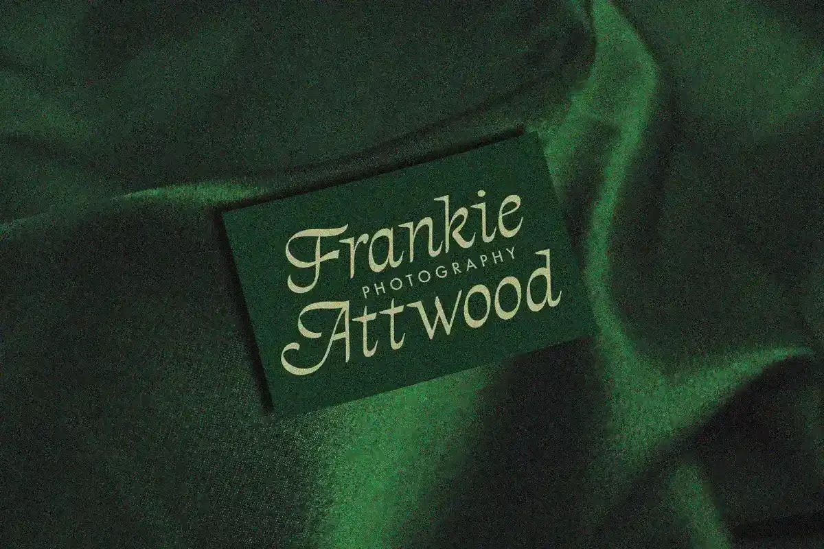 The Directors Italic screenshot 1