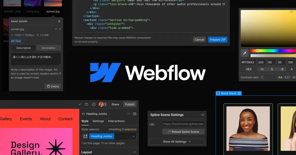Webflow preview